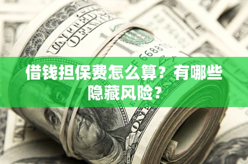 武汉借钱担保费怎么算？有哪些隐藏风险？