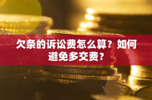 武汉欠条的诉讼费怎么算？如何避免多交费？